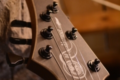 Mermet Guitars