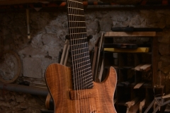 Mermet Guitars