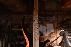 Mermet Guitars